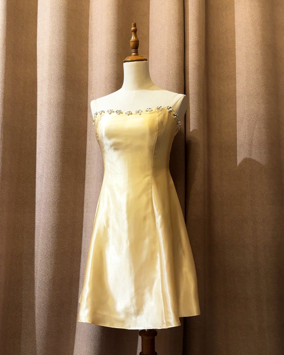 Sia Embellished Dress -Mini